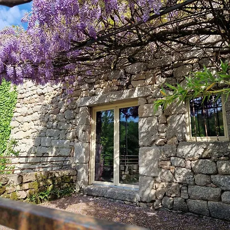 La Fontaine D'aubrac Campouriez