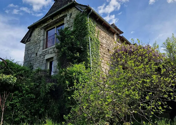 La Fontaine D'aubrac * Florentin-la-Capelle